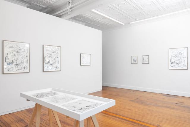 Installation view.