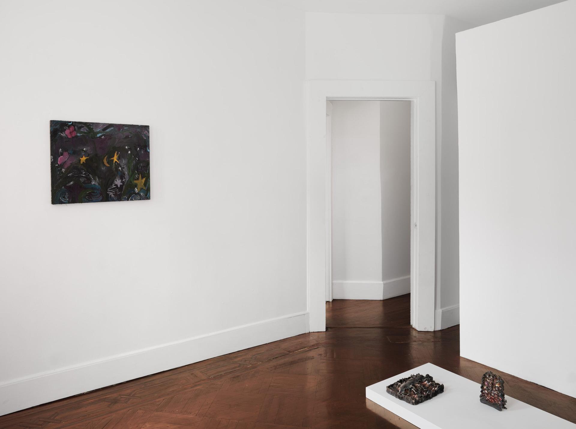 Installation view.