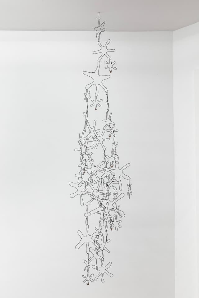 Garrett Lockhart. untitled (44), 2022. Rusted tie-wire starweeds, amber glass beads. Dimensions variable.