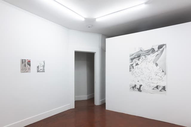 Installation view.