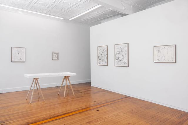 Installation view.