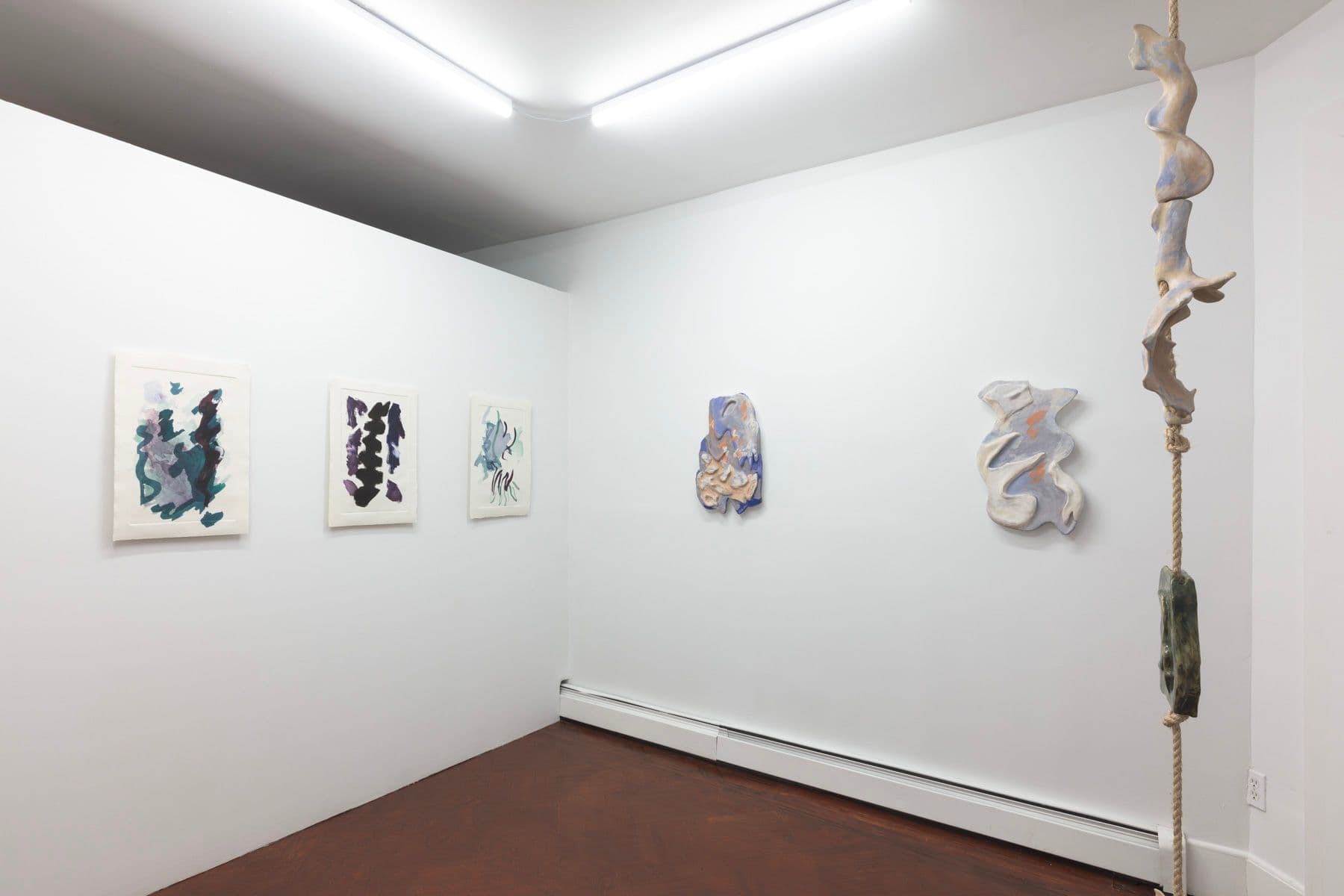 Installation view.