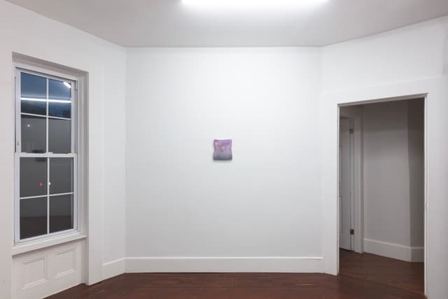 Installation view.