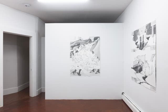 Installation view.