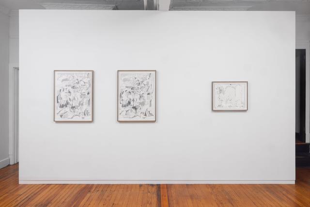 Installation view.