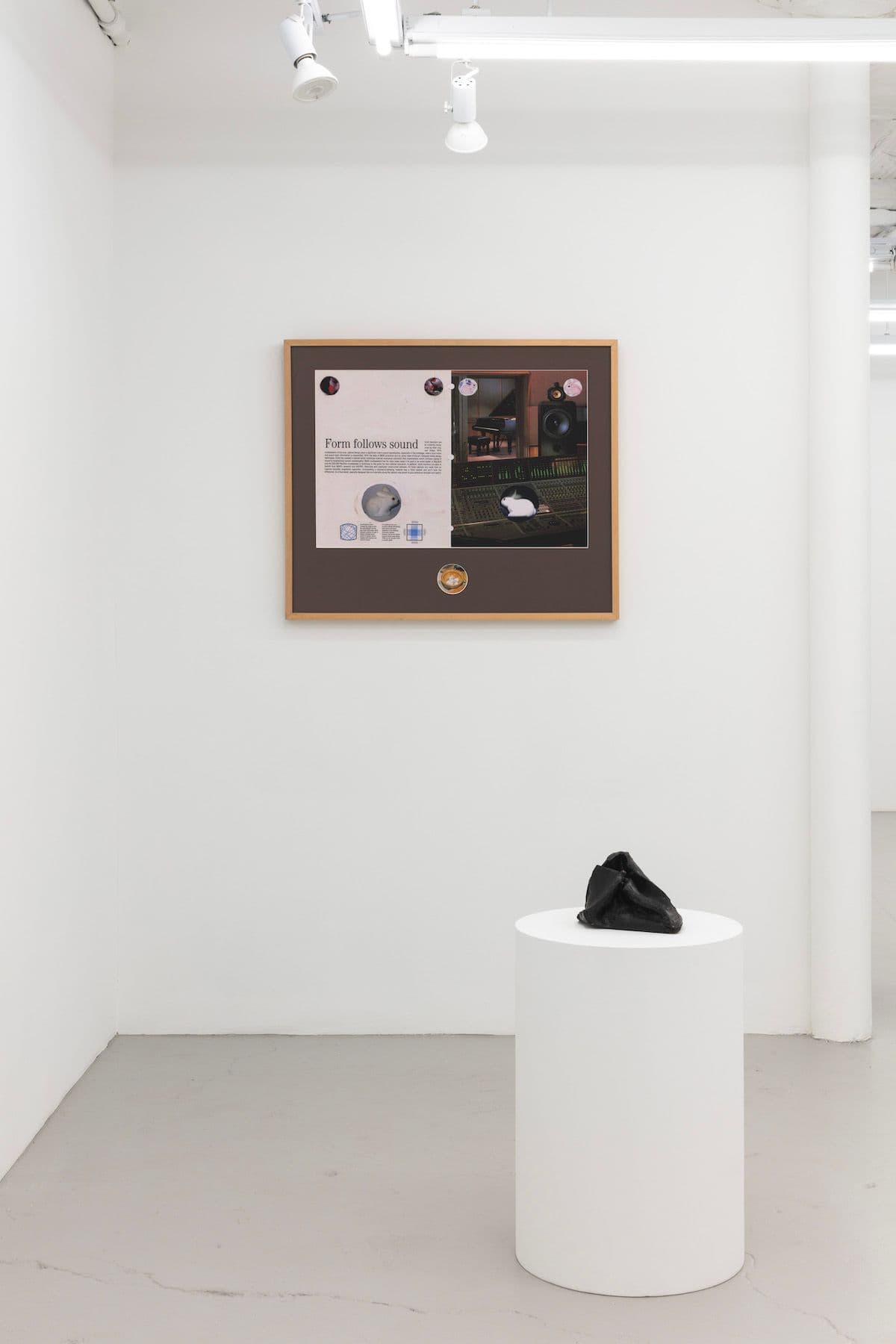 Installation view.