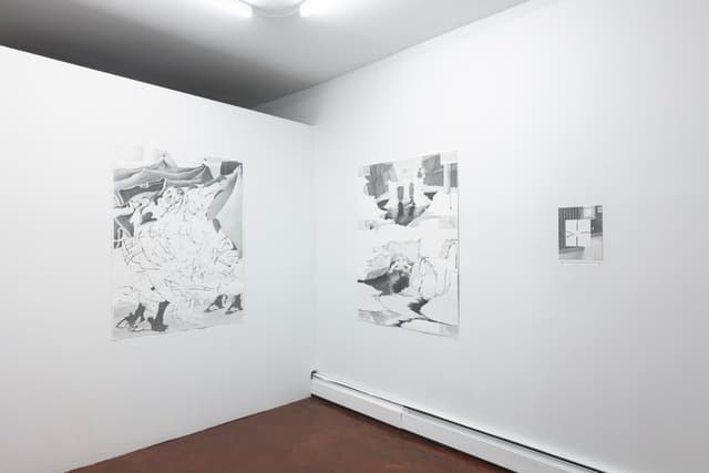 Installation view.