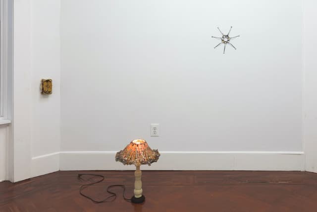 Installation view.