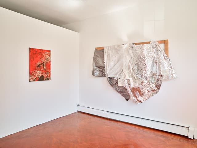 Installation view.