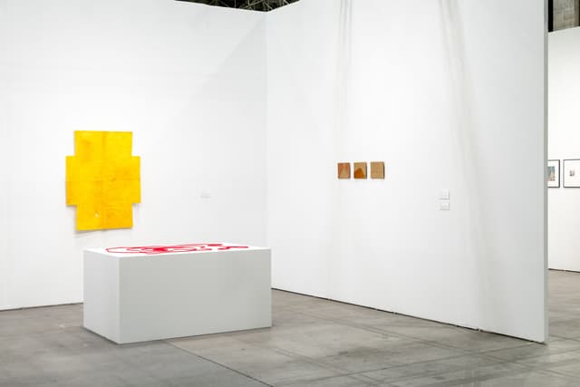 Installation view.