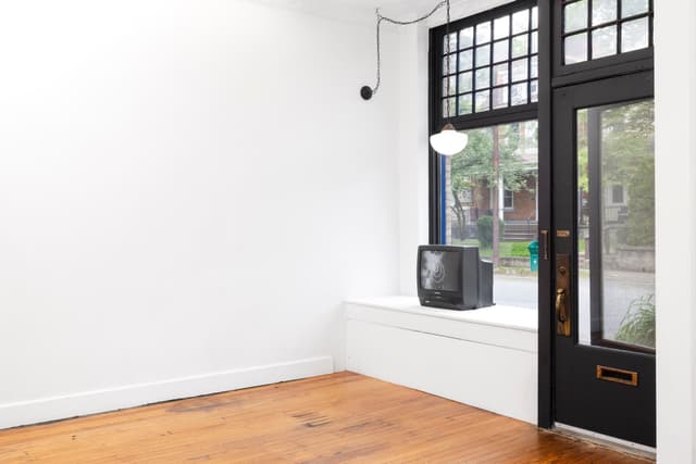 Installation view.