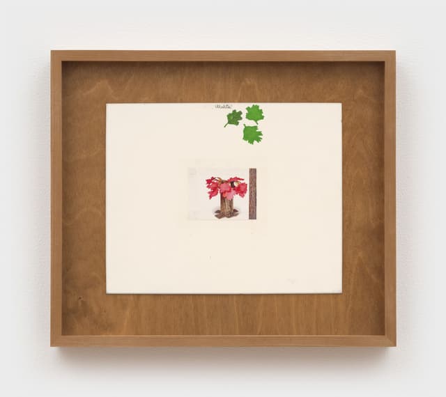 Alix Van Der Donckt-Ferrand. <i>Wahta'</i>, 2023. Marker, collage, color pencil, and graphite on matboard. 8 ½ × 10 ½ inches (13 ½ × 15½ inches framed).