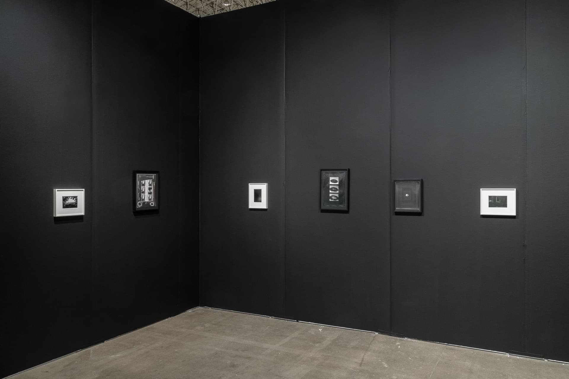 Installation view.