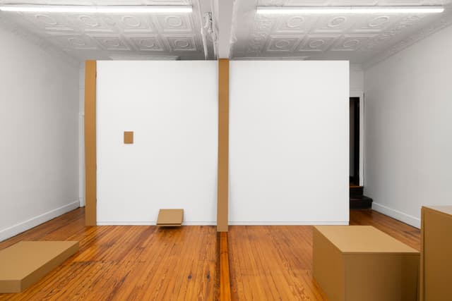 Installation view.