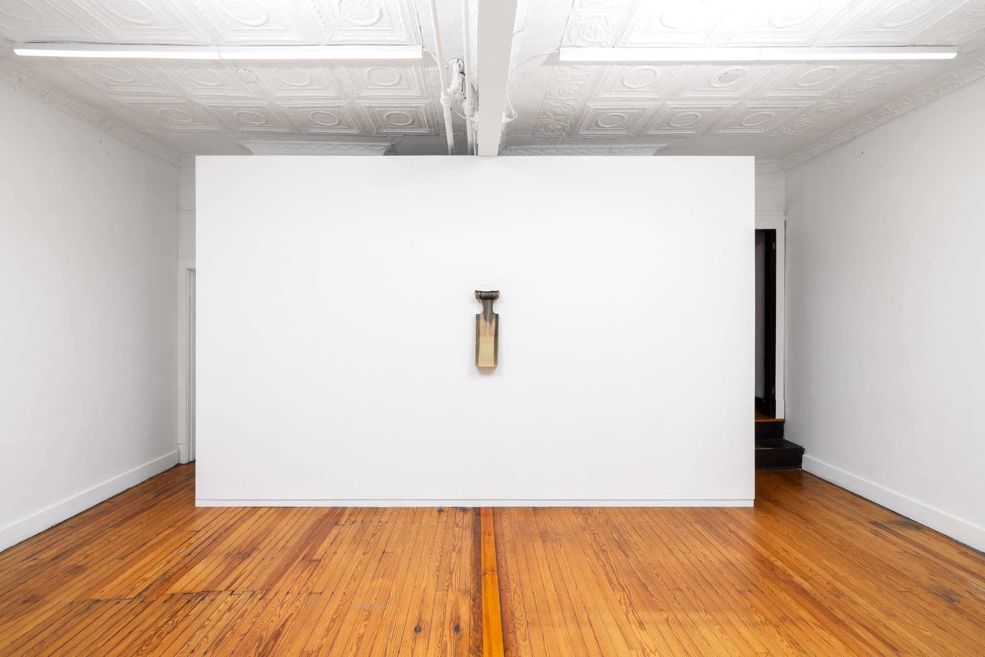 Installation view.