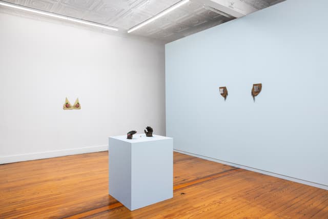 Installation view.