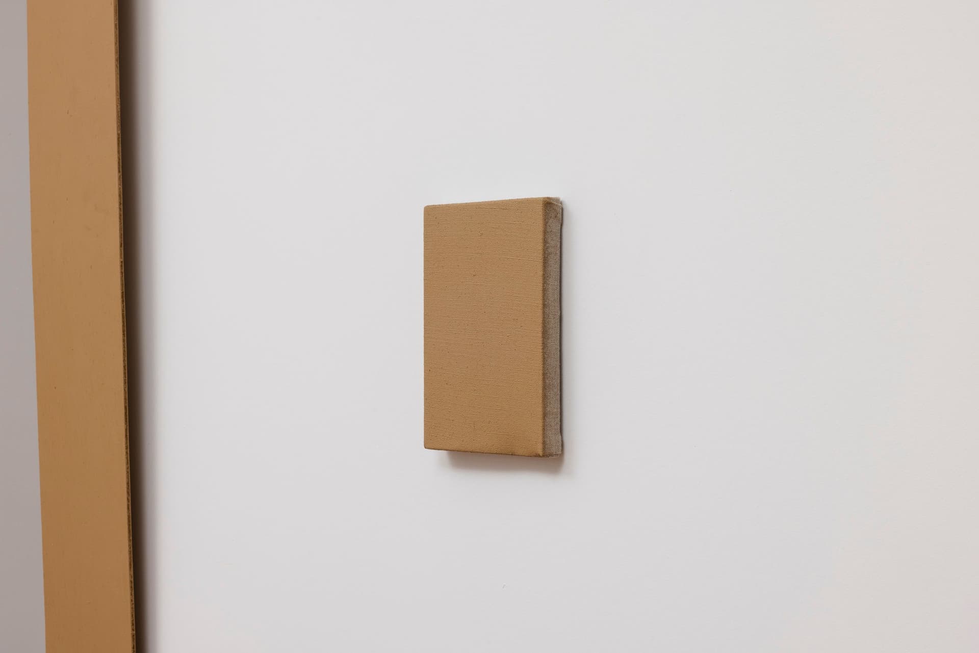 Installation view.