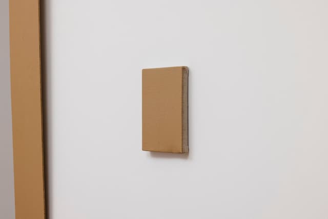 Installation view.