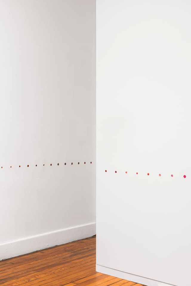 Installation view.