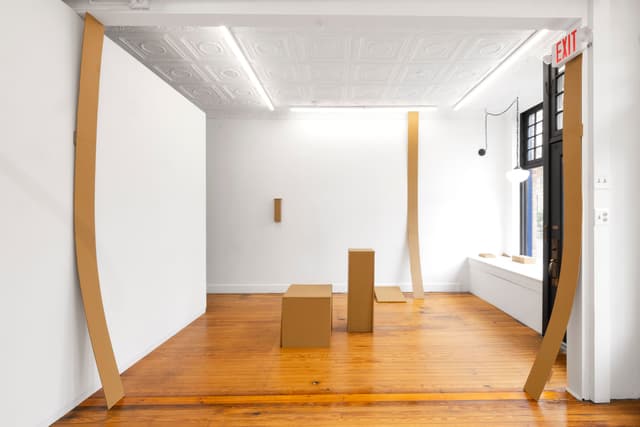 Installation view.