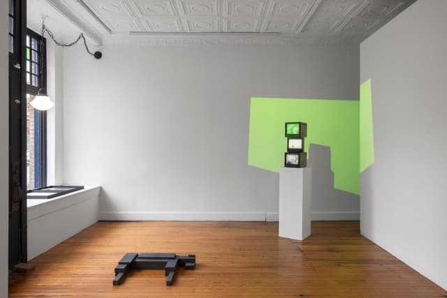 Installation view.