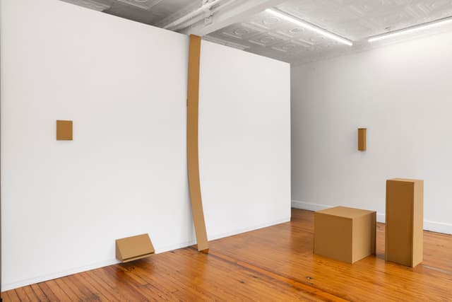 Installation view.