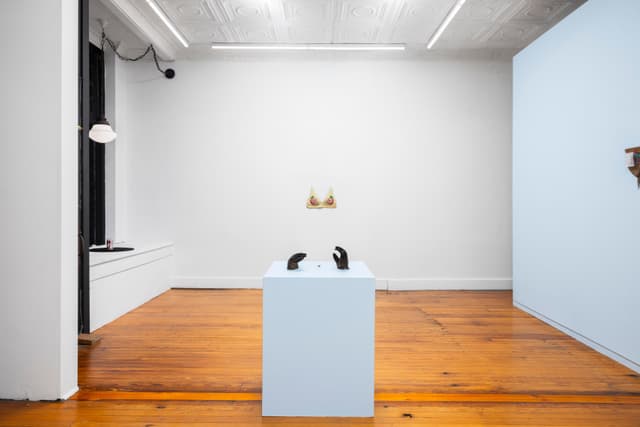 Installation view.