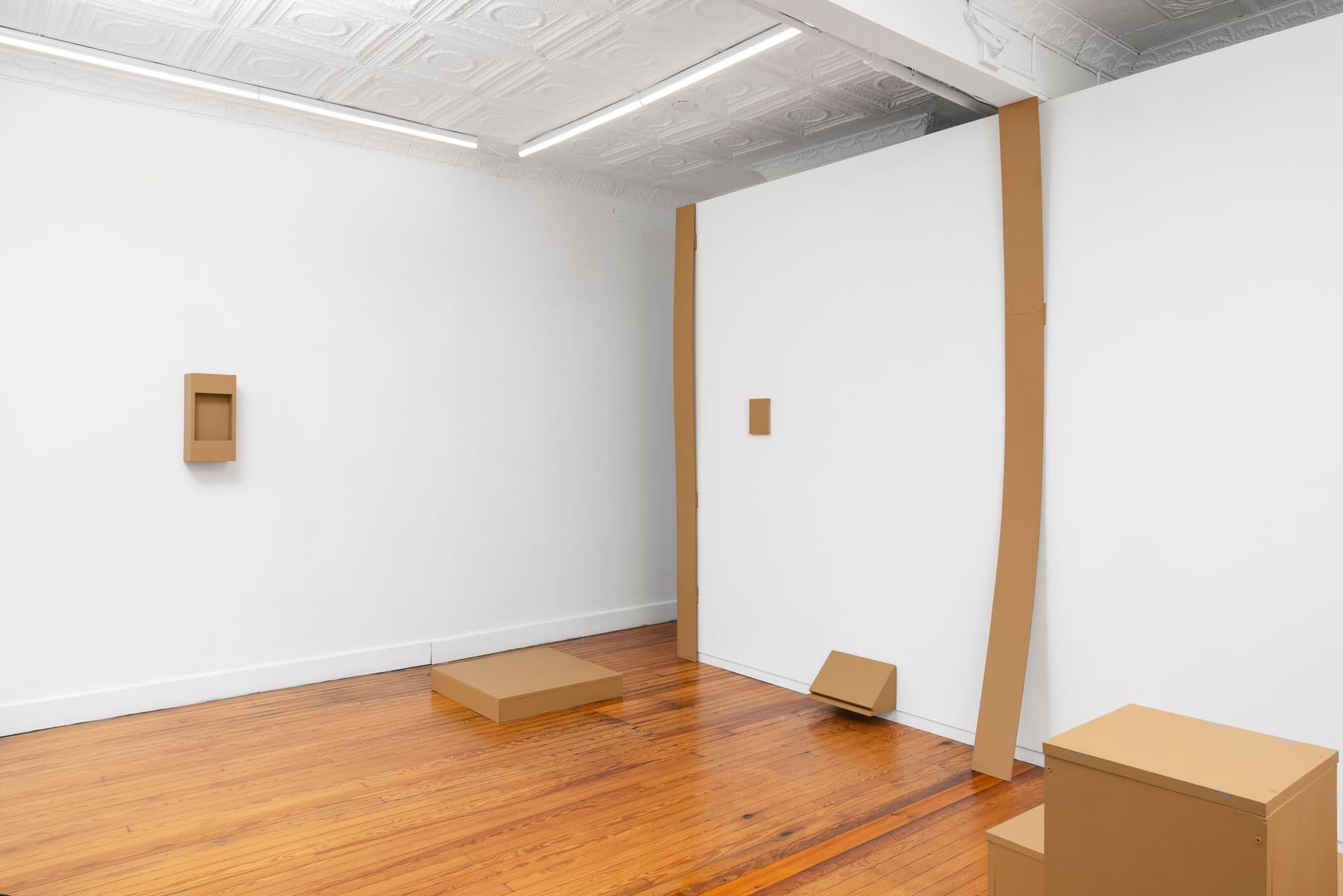 Installation view.