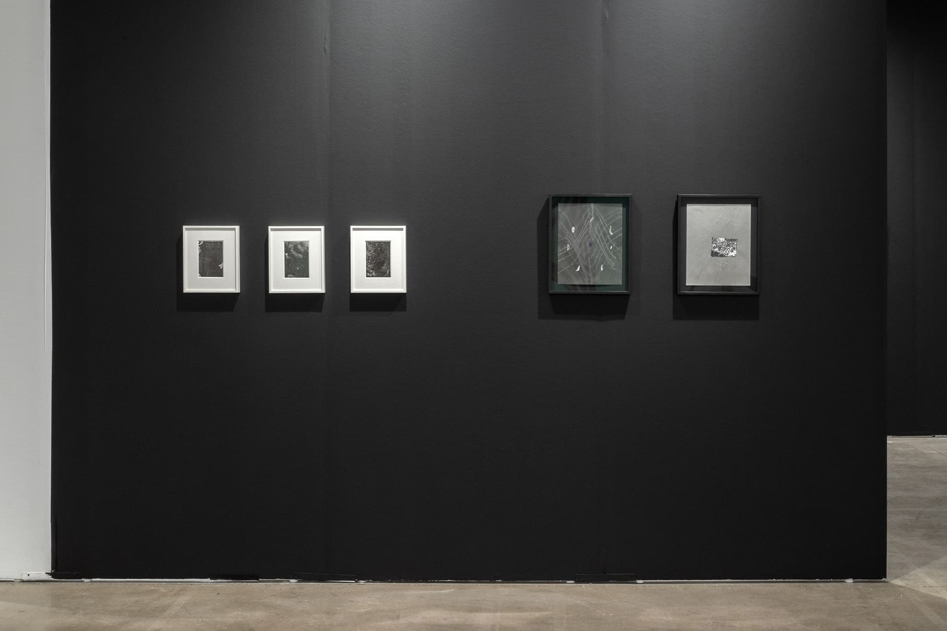 Installation view.