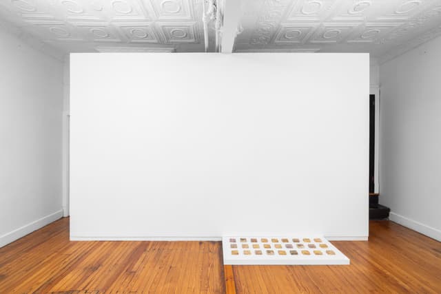 Installation view.