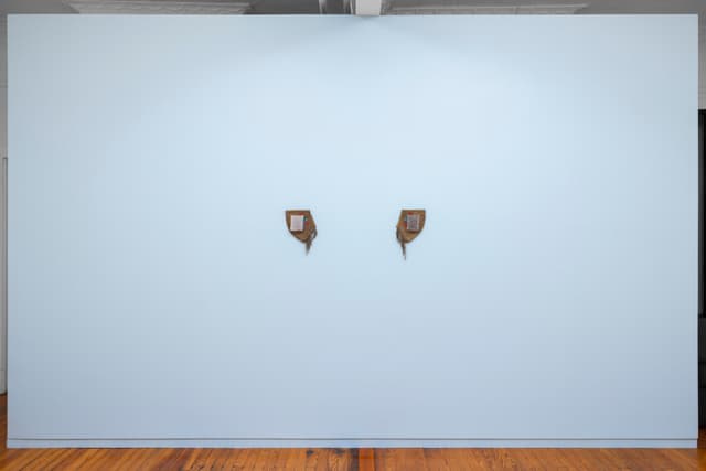 Installation view.