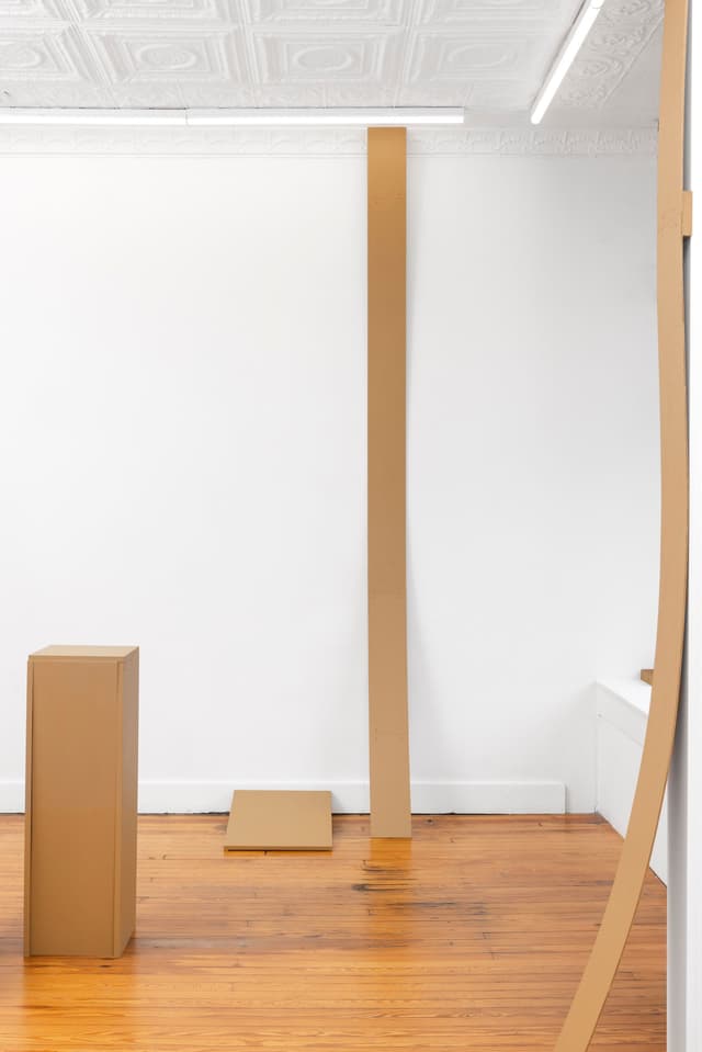 Installation view.