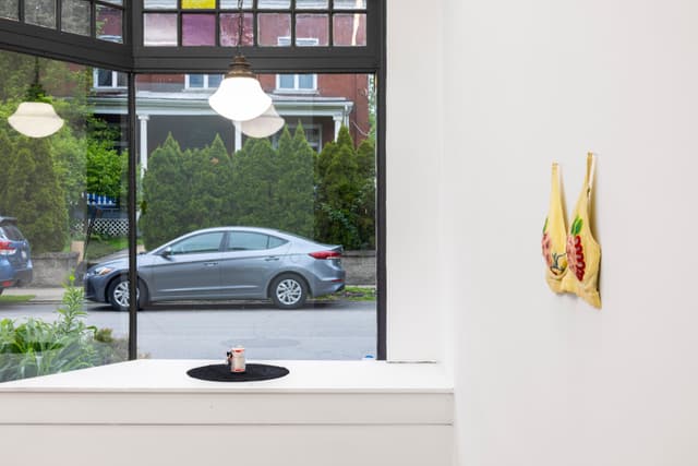 Installation view.