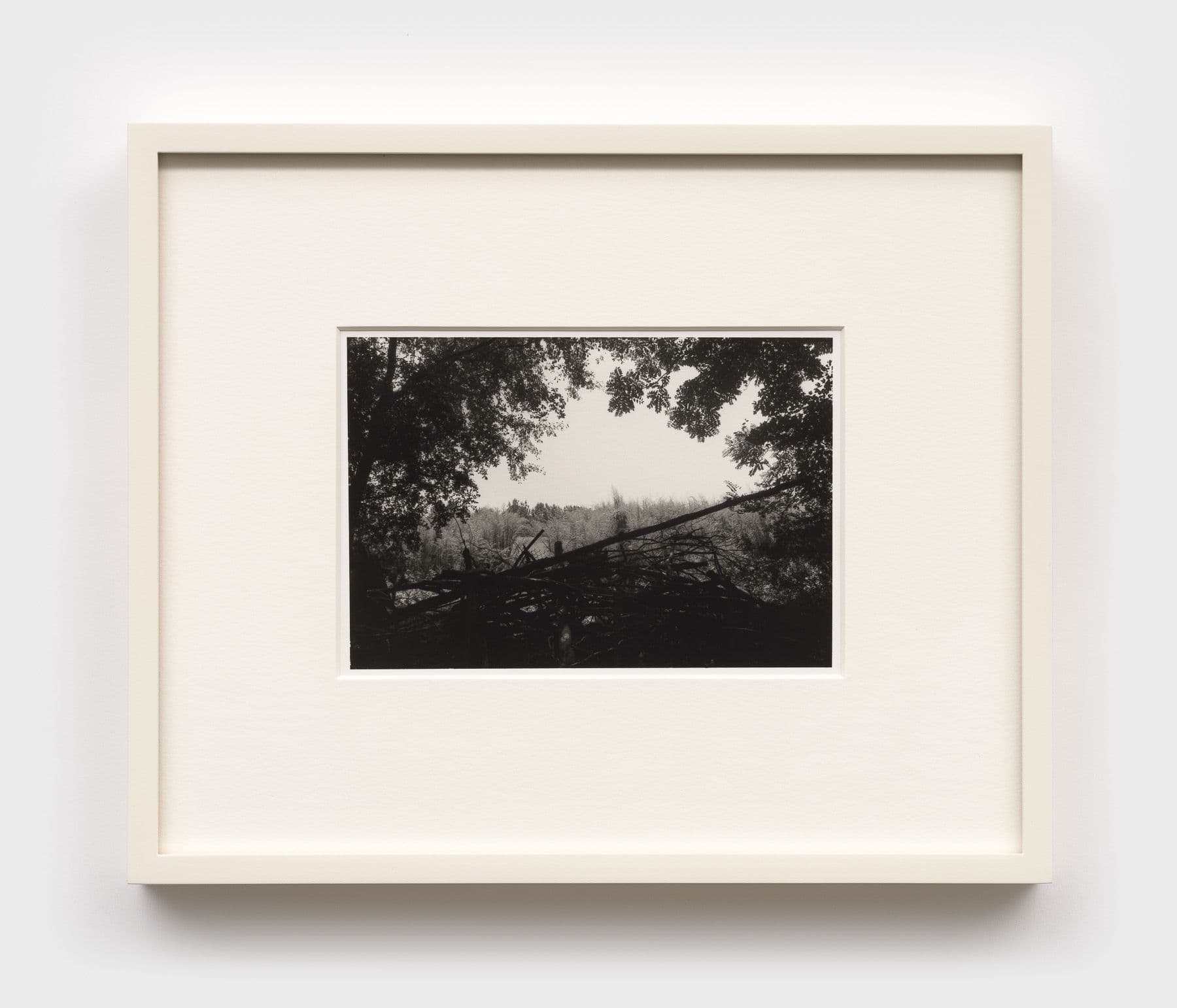 Mo Costello. Untitled (Weelaunee), 2025. Gelatin silver print.
4 1/4 × 6 inches (9 1/2 × 11 1/2 inches framed). Edition of 3 + II AP.