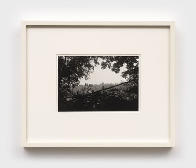 Mo Costello. Untitled (Weelaunee), 2025. Gelatin silver print.
4 1/4 × 6 inches (9 1/2 × 11 1/2 inches framed). Edition of 3 + II AP.