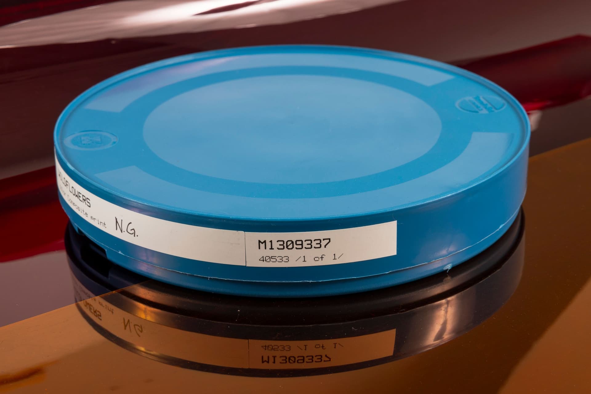 Margaret Honda. Retired Work (Detail), 2021-2023. Film (Fluentum), 2021, 36 Rosco and Lee lighting gels, 4-page score; Wildflowers (NG), 2015, color composite 16mm film print, 100 feet on core in can; Film (Basel Social Club), 2023, 236 Polyester gels, 5-page score. 2.375 × 24.875 × 43.375 inches. Courtest of the artist and Galerie Molitor, Berlin.