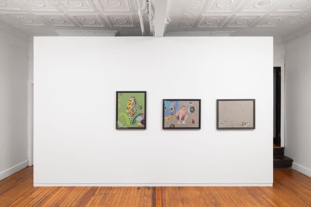 Installation view.