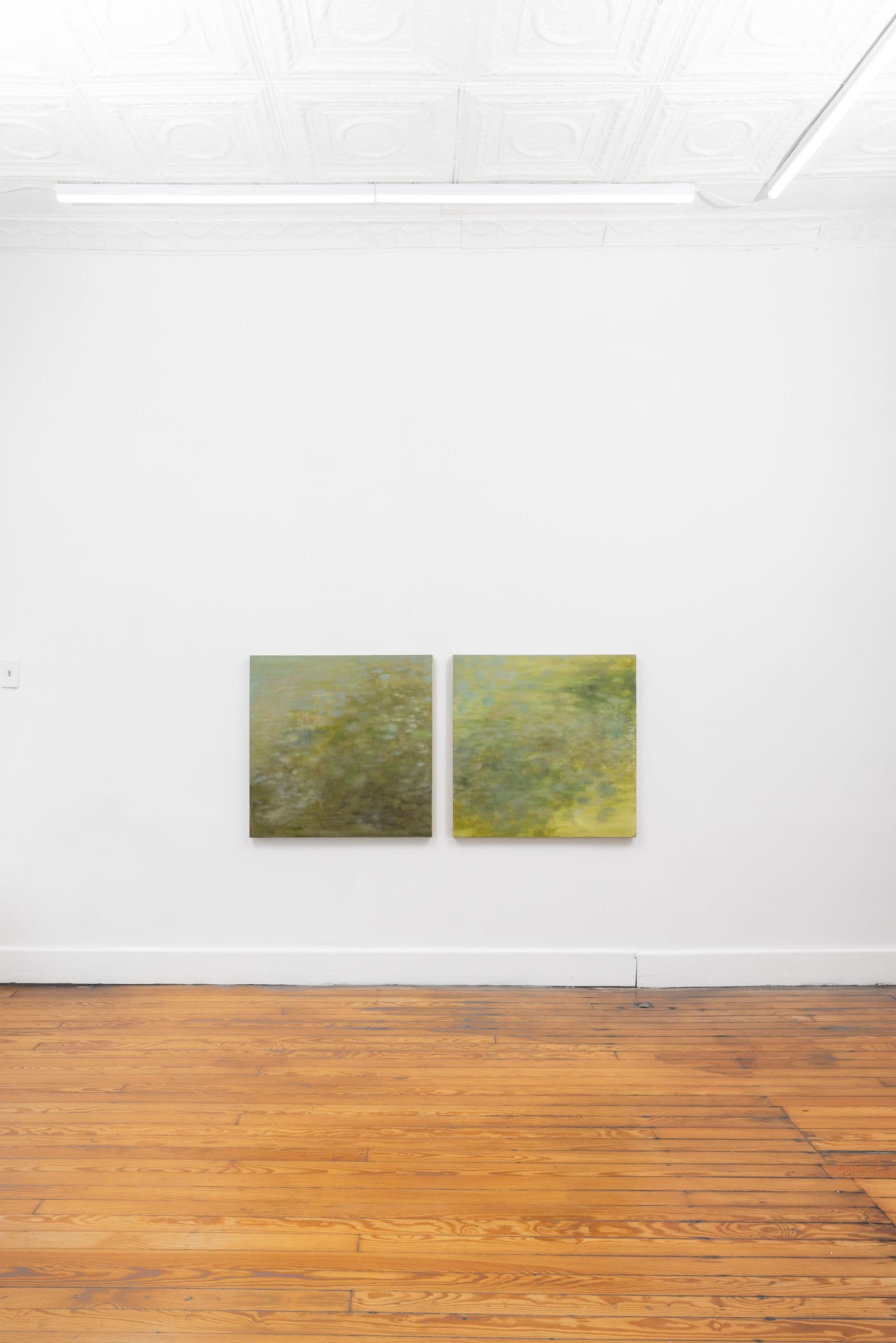 Installation view.