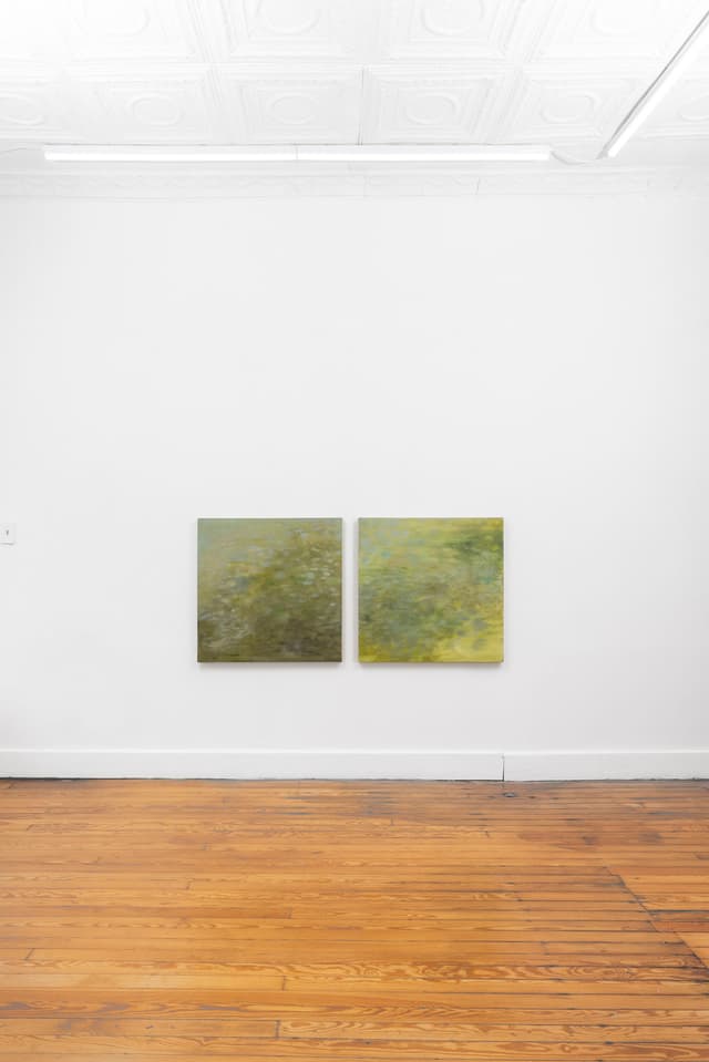 Installation view.