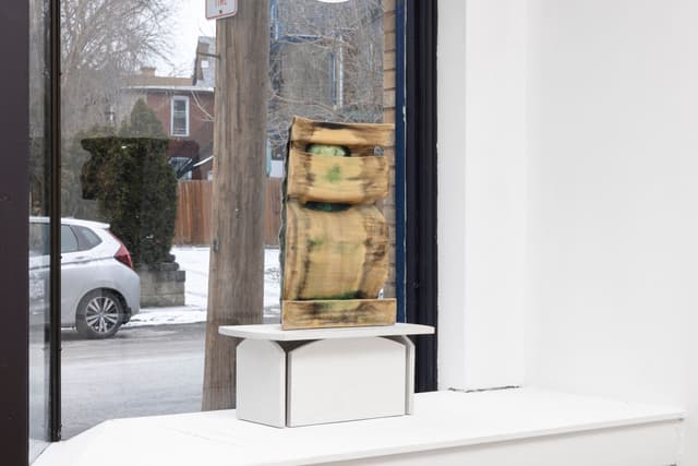 Installation view.