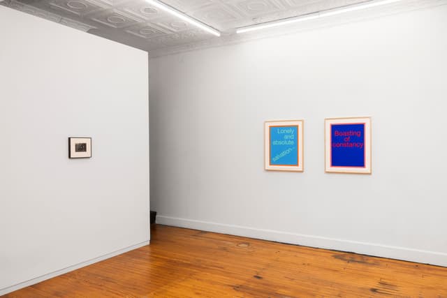 Installation view.