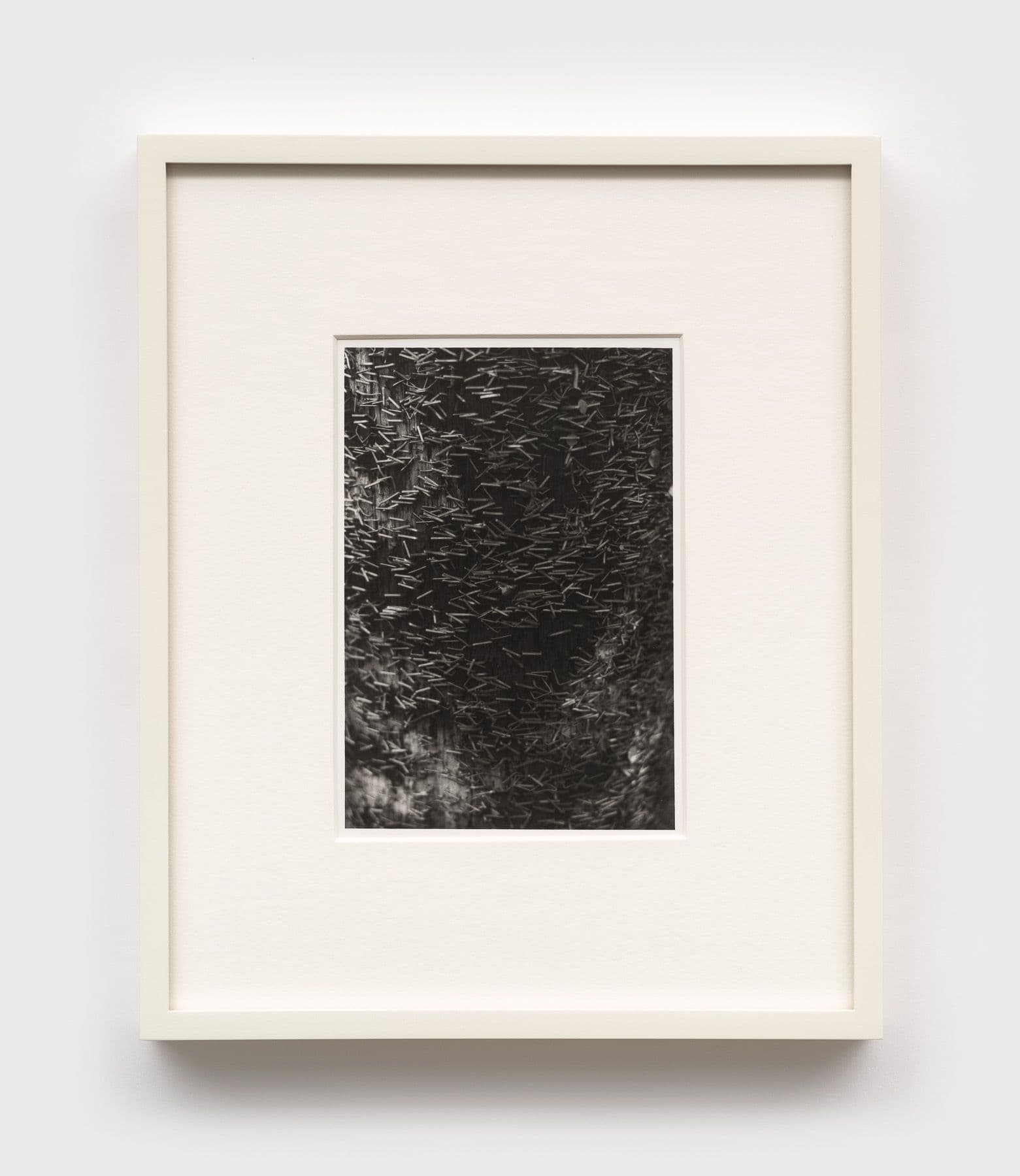 Mo Costello. Untitled (Moreland Ave., II), 2025. Gelatin silver print.
6 × 4 1/4 inches (11 1/2 × 9 1/2 inches framed). Edition of 3 + II AP.