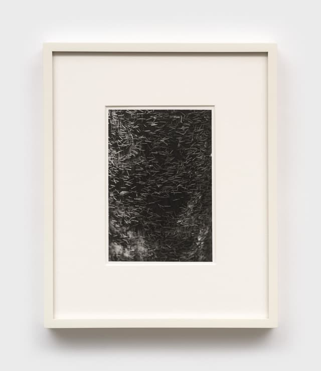 Mo Costello. Untitled (Moreland Ave., II), 2025. Gelatin silver print.
6 × 4 1/4 inches (11 1/2 × 9 1/2 inches framed). Edition of 3 + II AP.