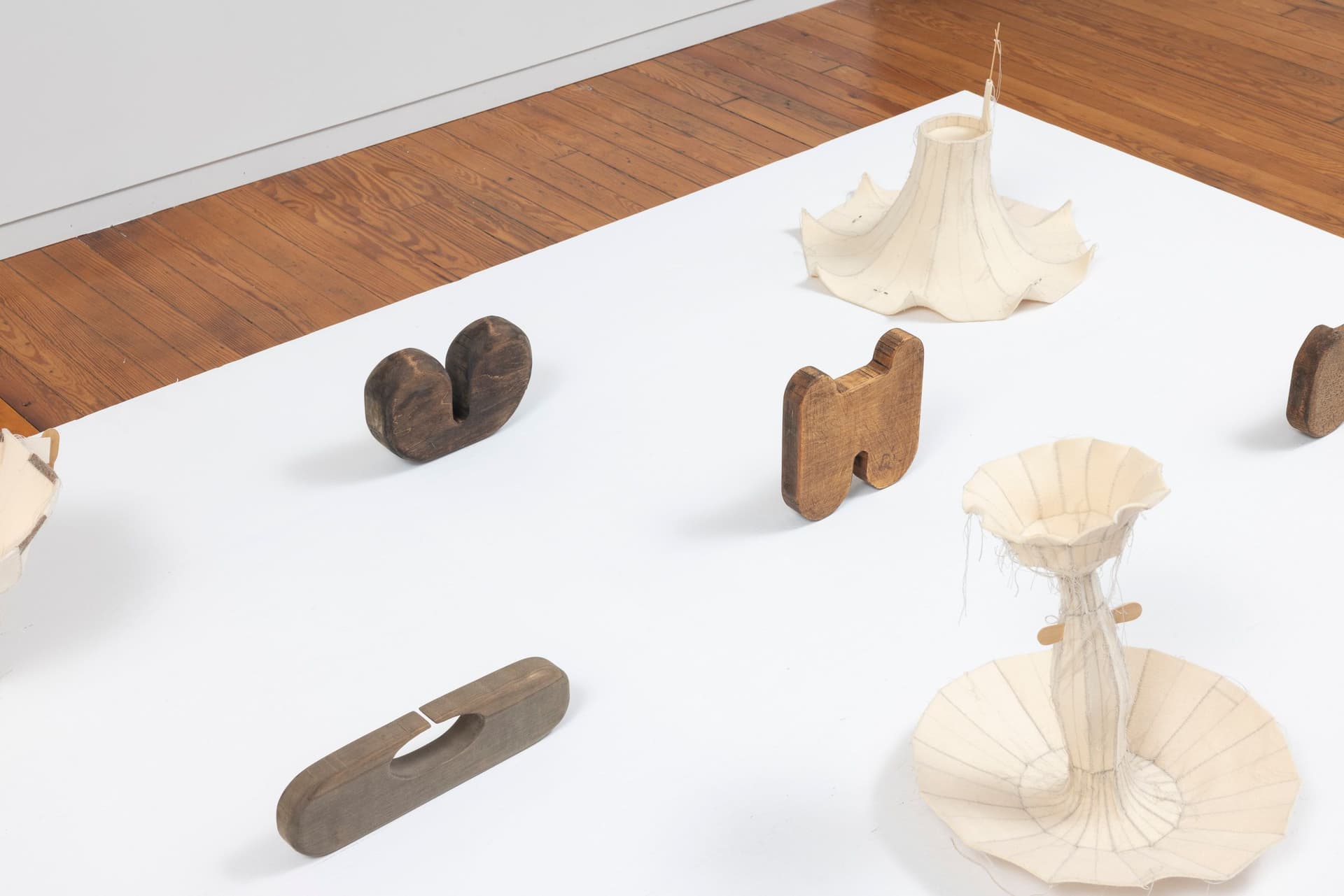 Installation view.