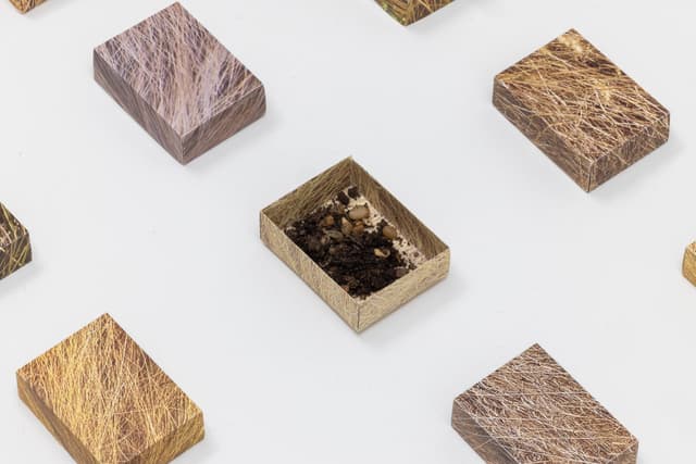 Faye HeavyShield. Detail of <i>real/i/ty</i>, 2025. Digital prints on paper, dirt. Dimensions variable.