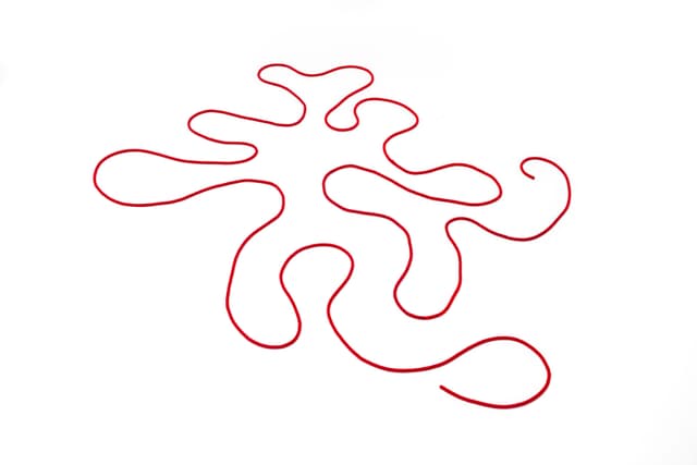 Faye HeavyShield. the red line ii, 2025. Beads, cord, thread. 1/4 × 342 inches. Dimensions variable.