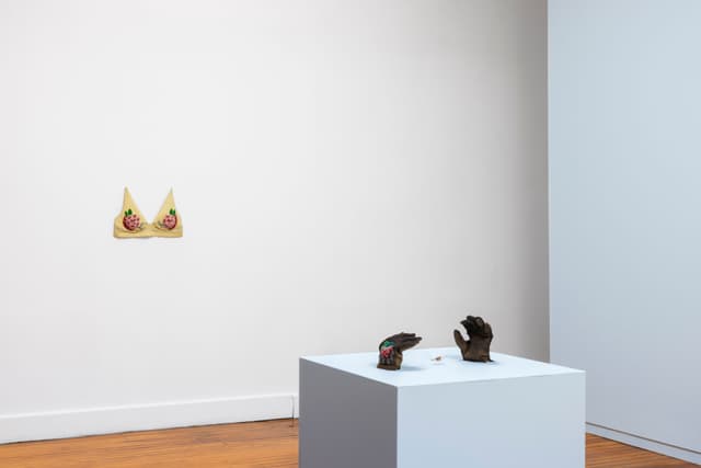Installation view.