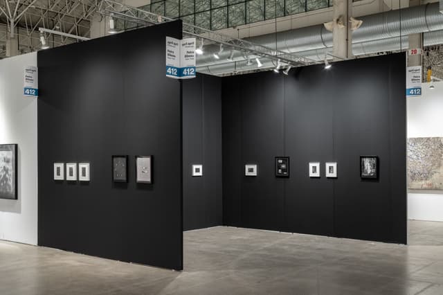 Installation view.