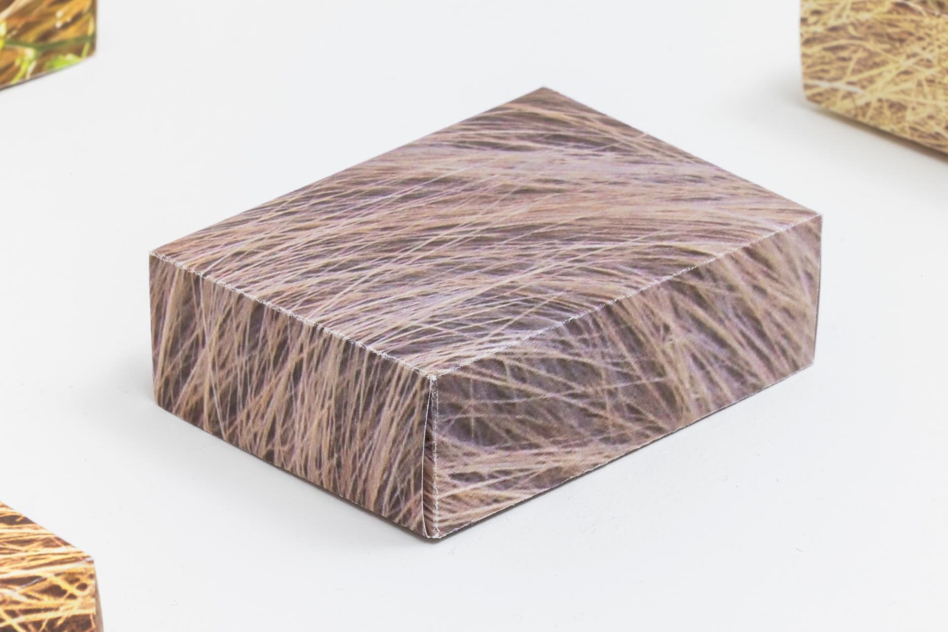 Faye HeavyShield. Detail of <i>real/i/ty</i>, 2025. Digital prints on paper, dirt. Dimensions variable.