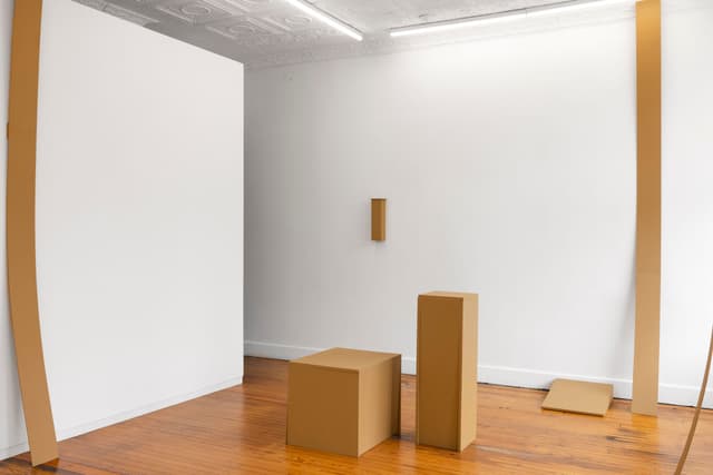 Installation view.